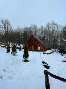 布雷佐维察Cozy Cabin in the Woods的雪覆盖的院子,设有小木屋