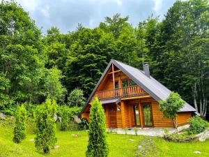 布雷佐维察Cozy Cabin in the Woods的树木林立的木屋