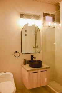 巴拿马城Amazing location Spacious Apto with Rooftop的一间带水槽、卫生间和镜子的浴室