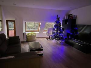圣胡利娅-德洛里亚Acojedor, nuevo y espacioso piso en Sant Julia de Loria的客厅配有圣诞树和紫色灯