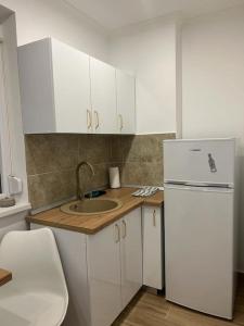 RoşuCozyStudio10的厨房配有白色冰箱和水槽