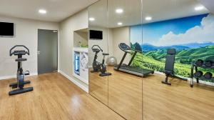 雷乌斯NH雷乌斯城市酒店的一个带健身器材的健身房和壁画