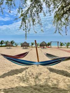卡诺阿斯德蓬萨尔Las Hamacas的海滩上的吊床,配有遮阳伞