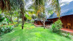 潘切Me Bungalow Beach Resort的一座房子前面有棕榈树的院子