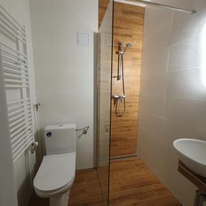 托波尔恰尼Ubytovanie FUNSTAR Topoľčany的浴室配有卫生间、盥洗盆和淋浴。