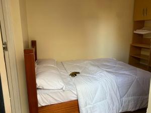 Kitengela 3 bedroom maisonette in Kitengela, Nairobi的床上坐着蜜蜂