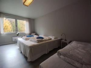 HovetHallingskarvet Fjellstue as的一间卧室设有两张床和窗户。