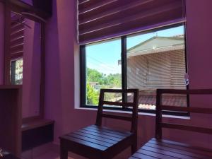 PinangodeIvyArk Residency的紫色的客房设有椅子和窗户。