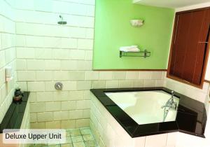 波德申Alpine LXPD Water Chalet的带浴缸的浴室和绿色的墙壁