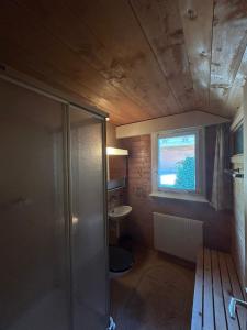 韦松纳Cache-Cache MOUNTAIN & QUIET chalet 10 pers的带淋浴和盥洗盆的浴室