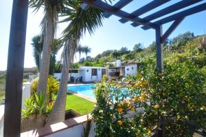 巴尔洛文托Los Boleros的享有带游泳池和棕榈树的房子的景色