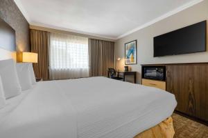 威尔明顿洛杉矶世界港贝斯特韦斯特酒店的一间酒店客房,配有一张大床和一台平面电视
