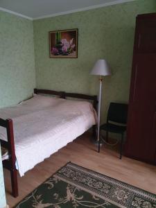 乌曼岛Eleon的一间卧室配有一张床、一盏灯和一把椅子