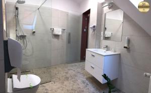 索瓦塔塞弗特酒店的一间带水槽、淋浴和卫生间的浴室