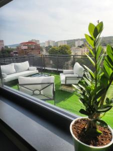 特尔古穆列什Best View Terrace的阳台享有沙发和植物的景色
