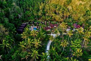 珀尼达岛Mahaloka Valley Nusa Penida的棕榈树中间的度假胜地的空中景观