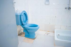 KeruguyaBekam Hotel的浴室配有蓝色卫生间和浴缸。