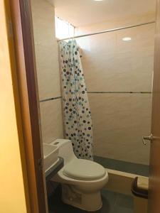 利马Confortable habitación doble frente al Aeropuerto的一间带卫生间和淋浴帘的浴室