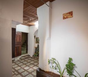 非斯Dar Dahab的走廊上,有白色的墙壁和植物