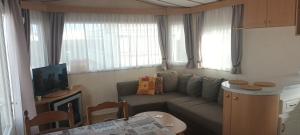 米德尔克尔克cottage Tangro的带沙发和电视的小客厅