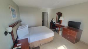 克利尔沃特Clearwater Beach Hotel的一间卧室配有一张床、一张书桌和一台电视