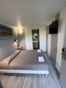 圣维斯鲁瓦西法斯特酒店 - 圣维斯的一间卧室配有一张床和一台平面电视