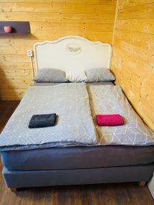 米库洛夫Chatky Daniel-Mikulov, a private campsite just for you的一张位于房间的床,上面有两个枕头