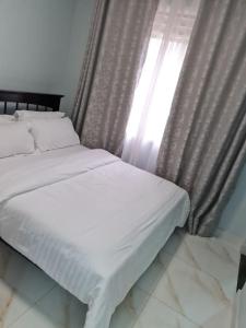 坎帕拉Cozy Apartment in Kololo的一张带白色床单的床和窗帘的窗户