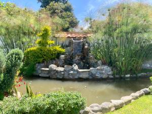 ChecaHosteria Casa Silva的花园中一个带喷泉的池塘