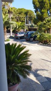 特拉尼Villa Erry的两辆汽车停在一个棕榈树停车场