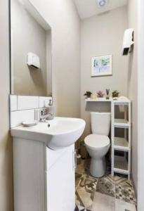 都柏林Private Cosy Studio - A1 Location的白色的浴室设有水槽和卫生间。