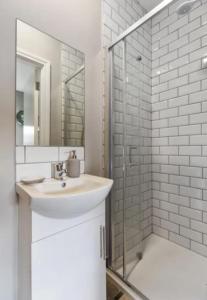 都柏林Private Cosy Studio - A1 Location的白色的浴室设有水槽和淋浴。