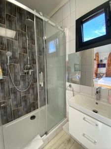 SzakcsJANUS COUNTRY SITE Üdülőházak的带淋浴和盥洗盆的浴室以及电视。