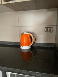 圣地亚哥Yolier Suites的厨房里的橙色搅拌机