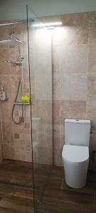 圣安尼Soley Bungalows Carambole 2 pers Adult only的一间带卫生间和玻璃淋浴间的浴室