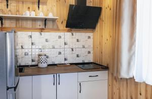 巴统Villa Machakhela●ვილა მაჭახელა的小厨房配有白色橱柜和冰箱。