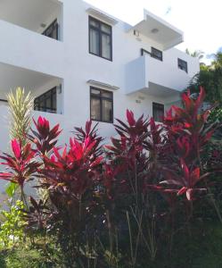 拉戈莱特Villa Trochetia的前面有红植物的白色建筑
