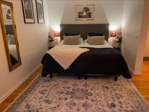 科尔巴克斯Bärsta BnB的一间卧室配有一张大床和地毯。