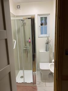 都柏林Willow Lodge的带淋浴和卫生间的浴室