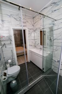 特鲁斯卡韦茨Apart-Hotel CARDINAL的带淋浴、卫生间和盥洗盆的浴室