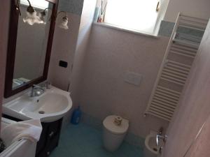 卡纳莱Cantina Monpissan的一间带水槽、卫生间和镜子的浴室