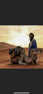 杜兹Faima的站在沙漠骆驼旁边的人