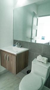 埃尔蒙特The Views Resort的一间带卫生间、水槽和镜子的浴室