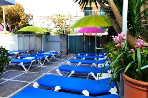 罗列特海岸玉兰旅馆的庭院里摆放着蓝色的椅子和遮阳伞