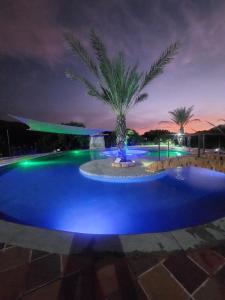 圣玛尔塔Cabaña Ecoturismo Los Mangos的游泳池在晚上,中间有棕榈树