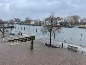 格赖夫斯瓦尔德Ferienwohnungen Ryck Blick的河里有水边的码头和树