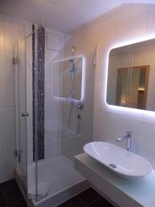 巴特科尔格鲁布Hotel am Wiesenhang - Garni的带淋浴、盥洗盆和镜子的浴室