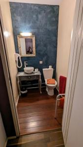亚斯凯恩依拉吉酒店的一间带水槽、卫生间和镜子的浴室