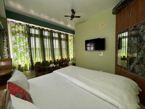 西姆拉Zu-Zu Hostels的一间卧室设有一张床、一台电视和窗户。