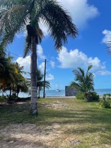 总督港Winfield Manor home的海滩上的棕榈树与大海